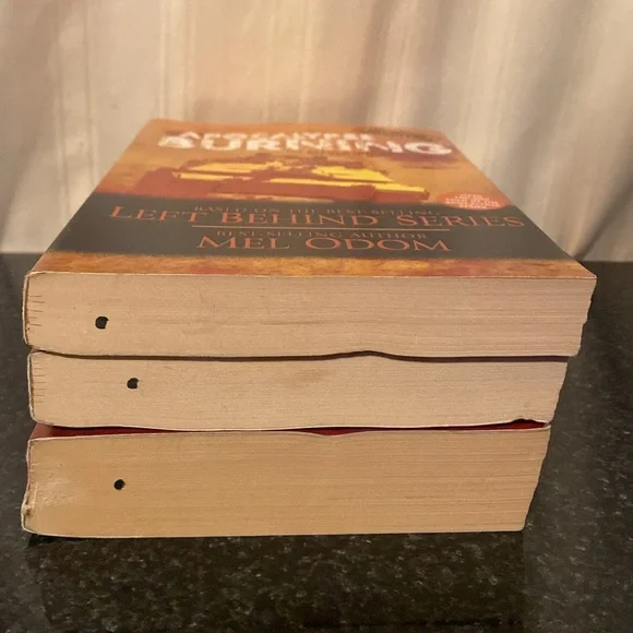 Left Behind Apocalypse Trilogy Book Set - Picture 6 of 10